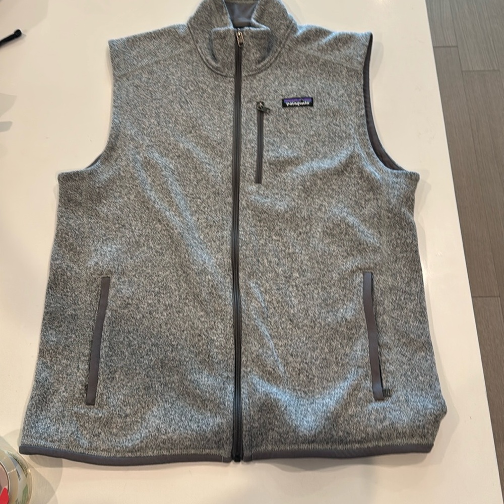 Patagonia men’s gray vest